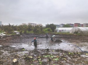 无极河道鱼塘清淤